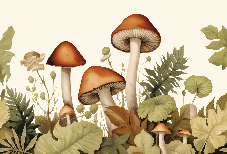 Gombacsoport levelekkel