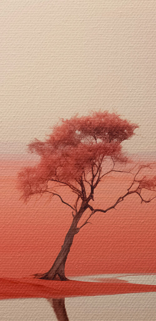 Tree in a red desert