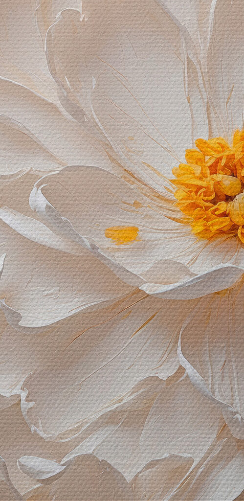 White flower with yellow center