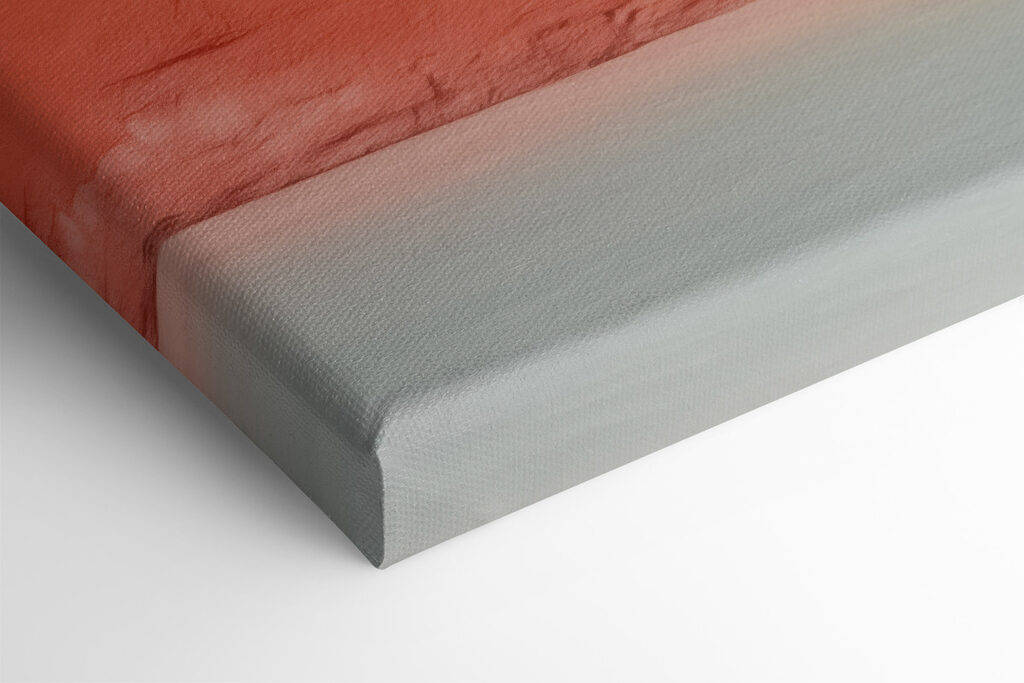 Cactus in a pot against a wall