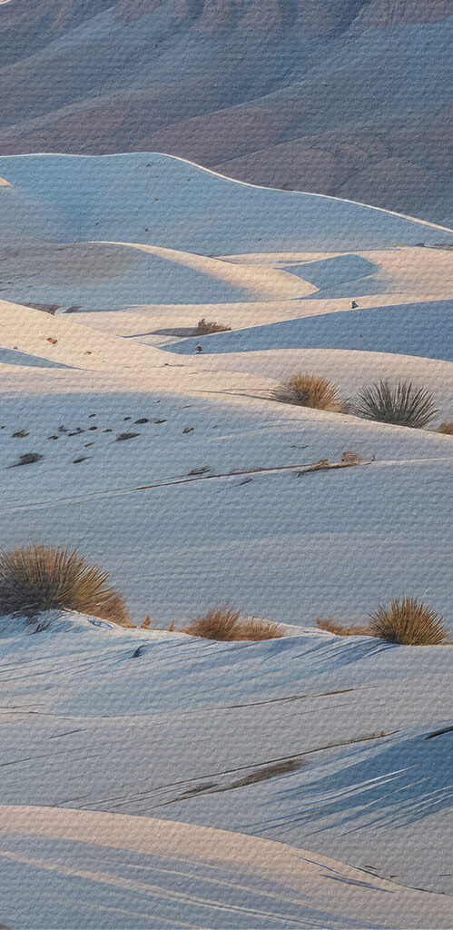 Woman walking in the snow