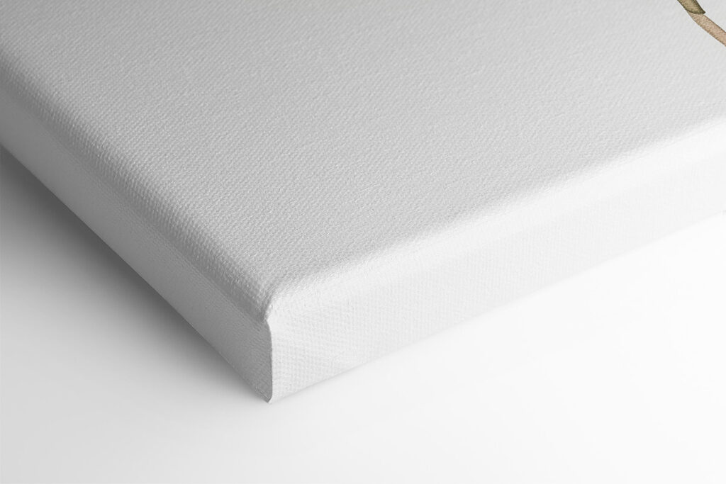 Watercolor of a leaf Watercolor of a leaf