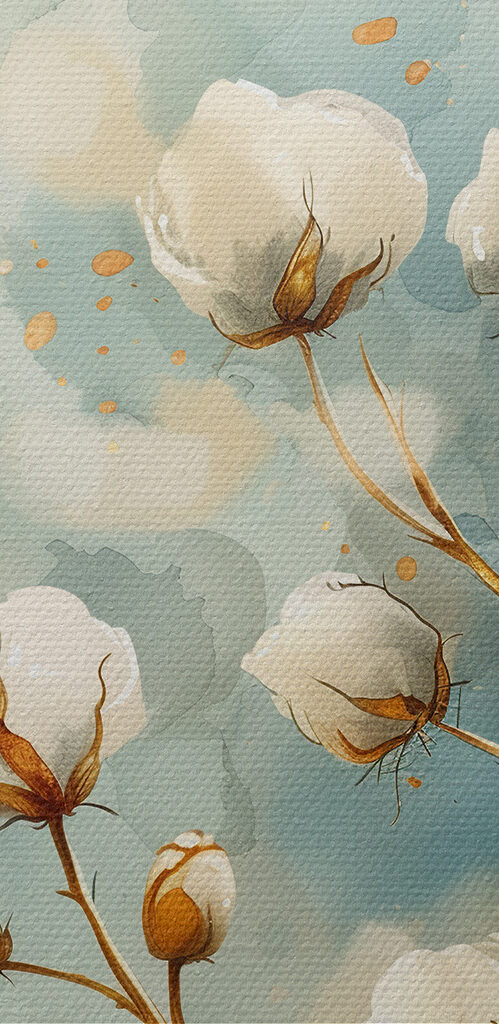 Watercolor of cotton flowers Watercolor of cotton flowers