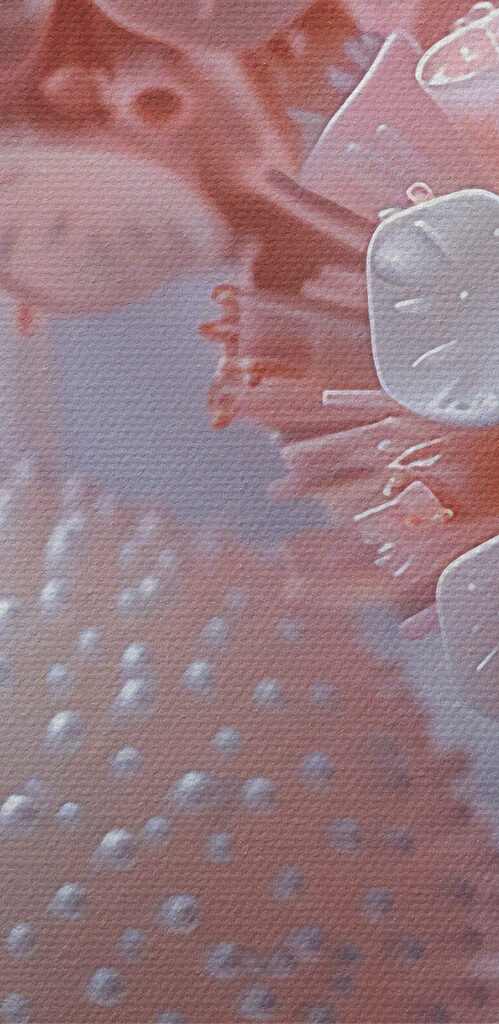 Close up of a flower Close up of a flower