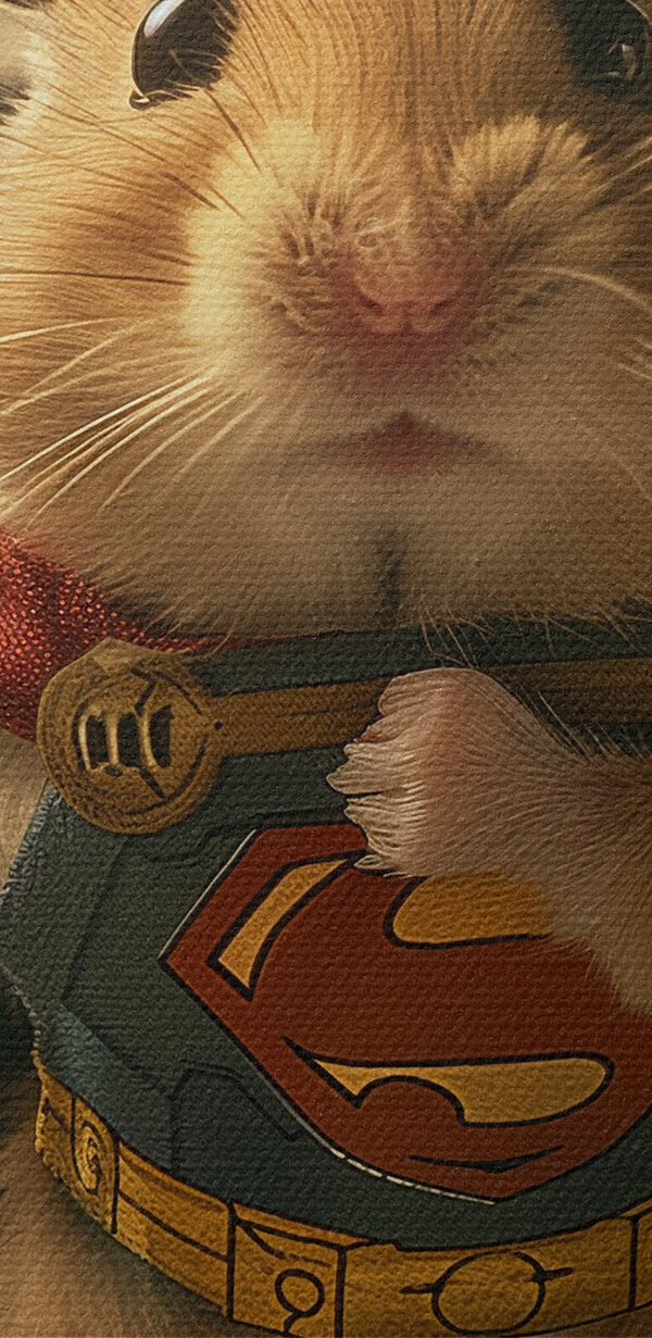 Hamster köpenyt visel és kalapácsot tart a kezében Hamster köpenyt visel és kalapácsot tart a kezében