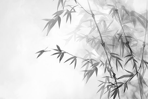 Bamboo leaves on a branch Bamboo leaves on a branch