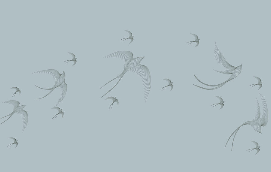 Group of birds flying Group of birds flying