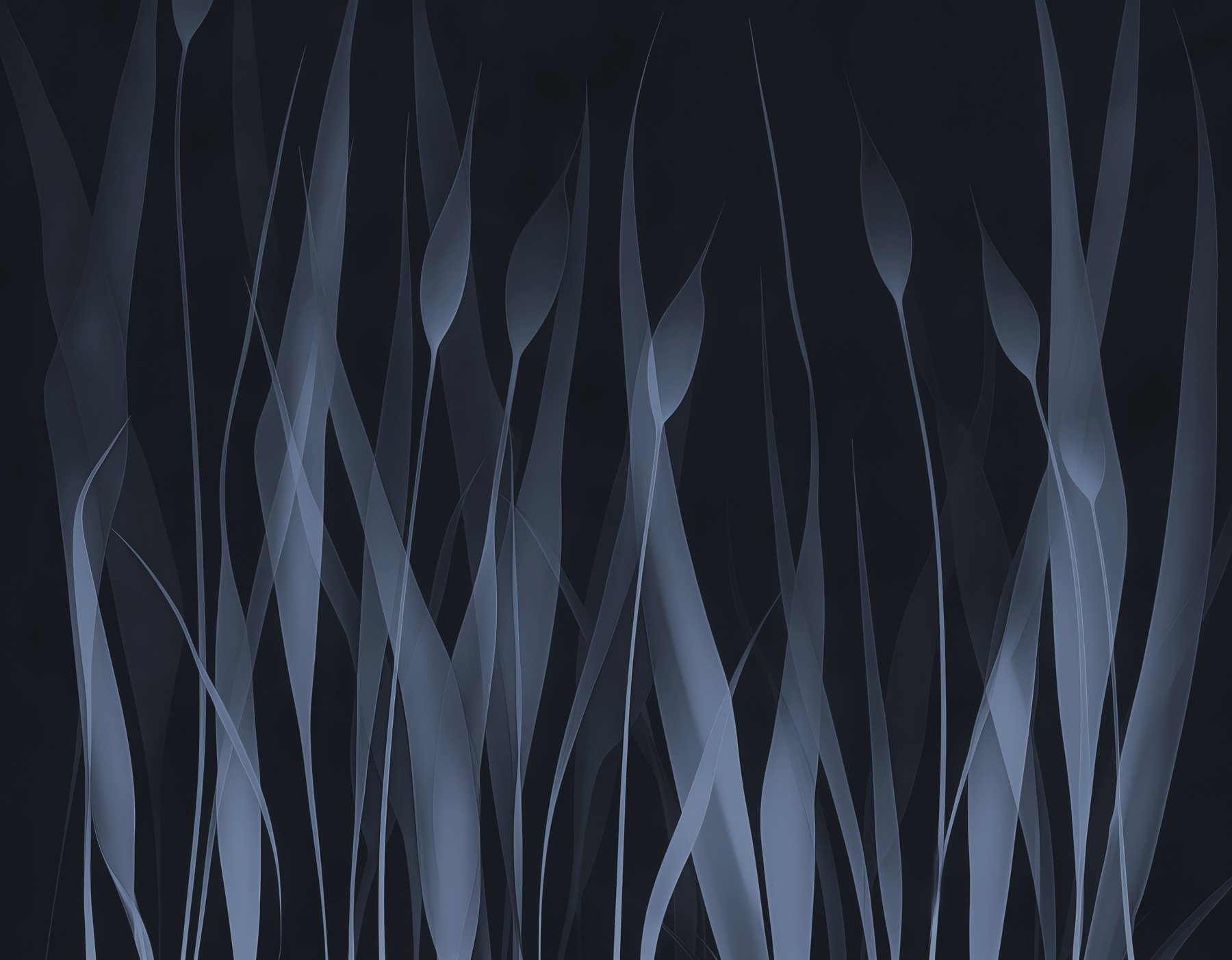 Close up of a plant
