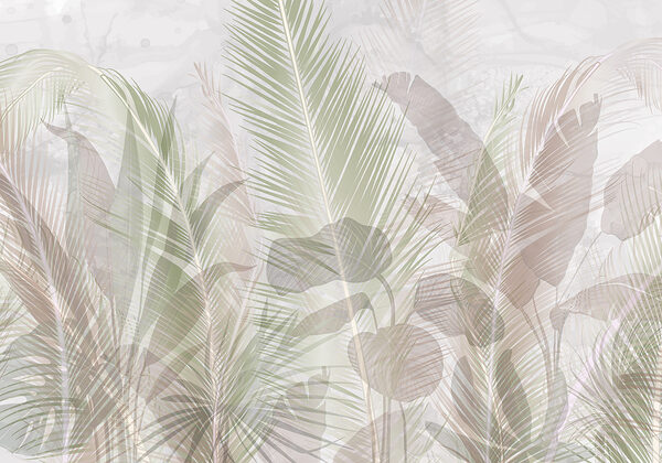 Wall murals Close up of leaves Wall murals Close up of leaves
