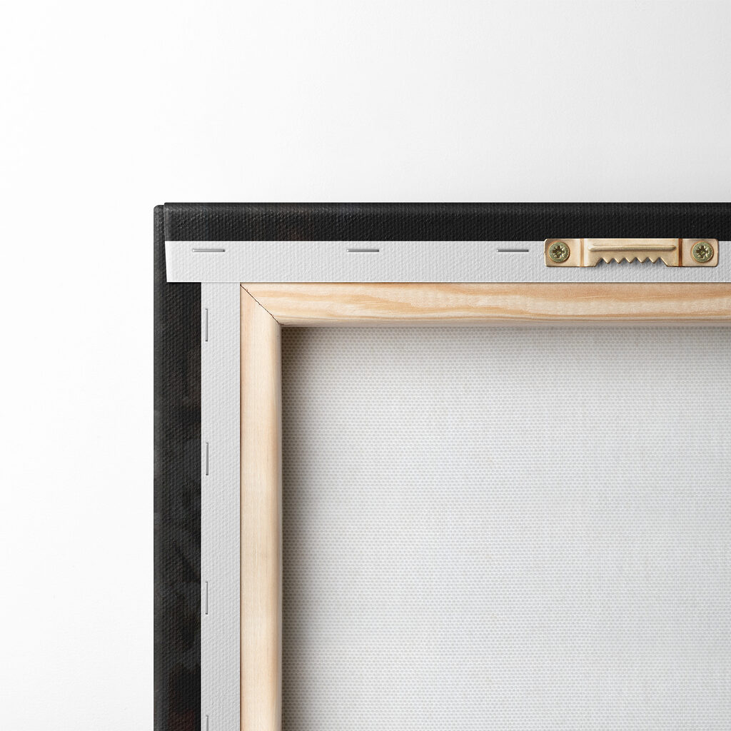 Cartoon duck wearing a jacket and holding a bunch of money