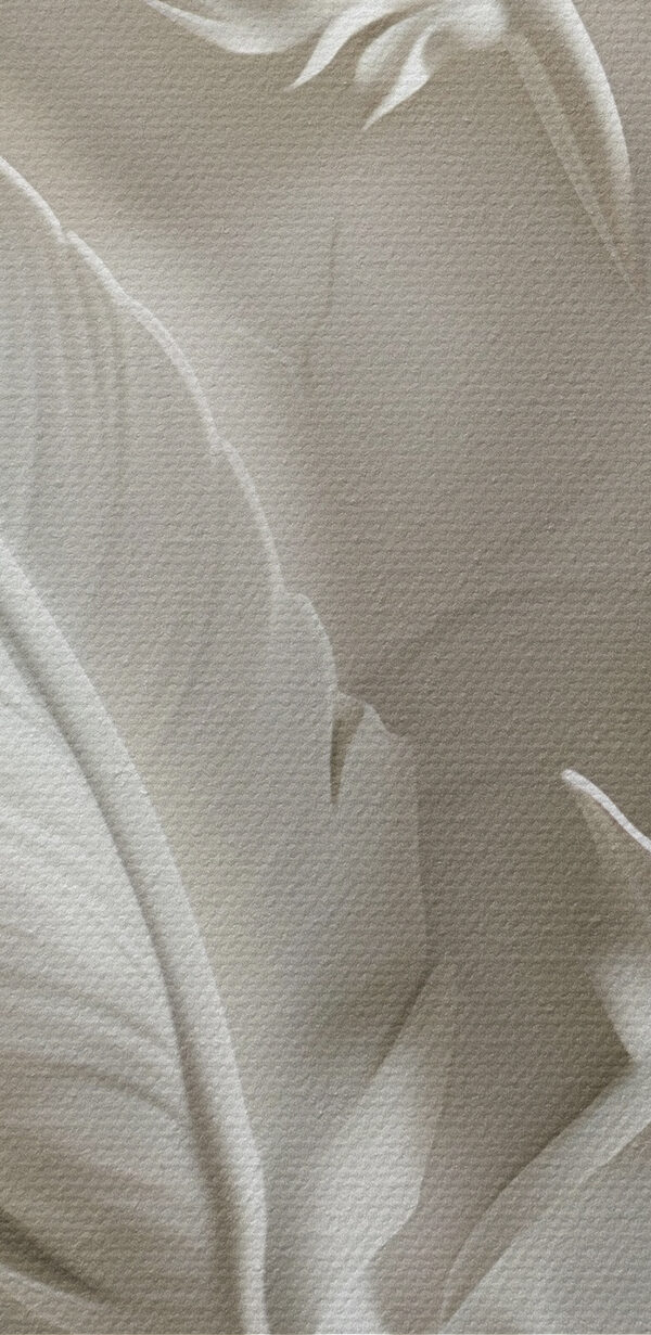 Fehér toll faragás a falon Fehér toll faragás a falon