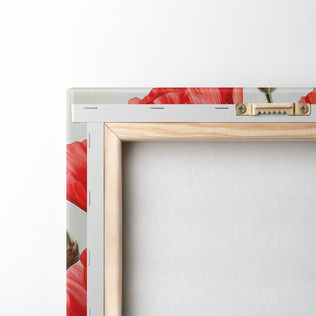 Group of red flowers