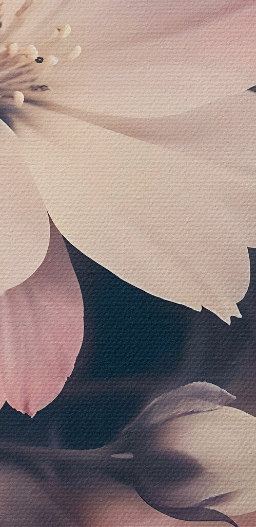 Delicate blossoms in soft shades Delicate blossoms in soft shades