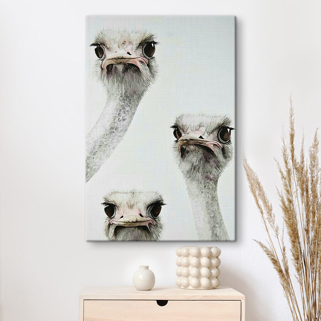 Group of ostriches with their heads up