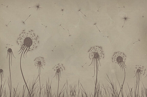 Dandelion seeds flying in the sky Dandelion seeds flying in the sky