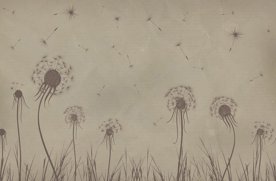 Dandelion seeds flying in the sky Dandelion seeds flying in the sky