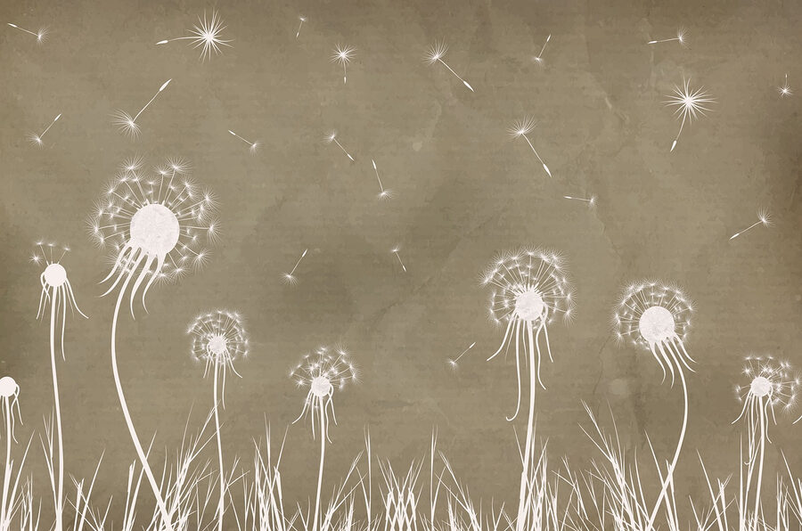 Dandelion flowers and grass Dandelion flowers and grass