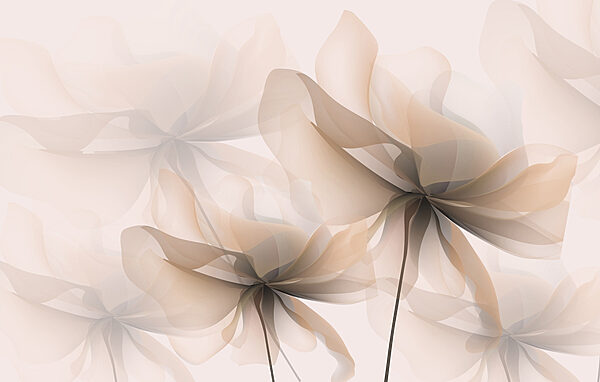 Close up of flowers Close up of flowers