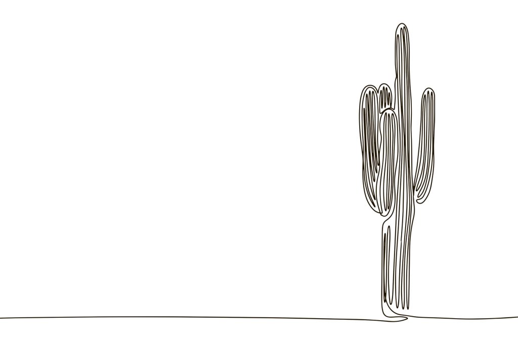 Cactus drawn in one line
