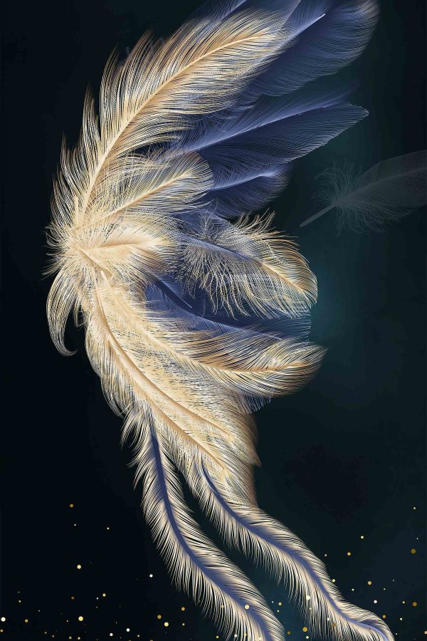 Ethereal Feather in Starry Night Ethereal Feather in Starry Night