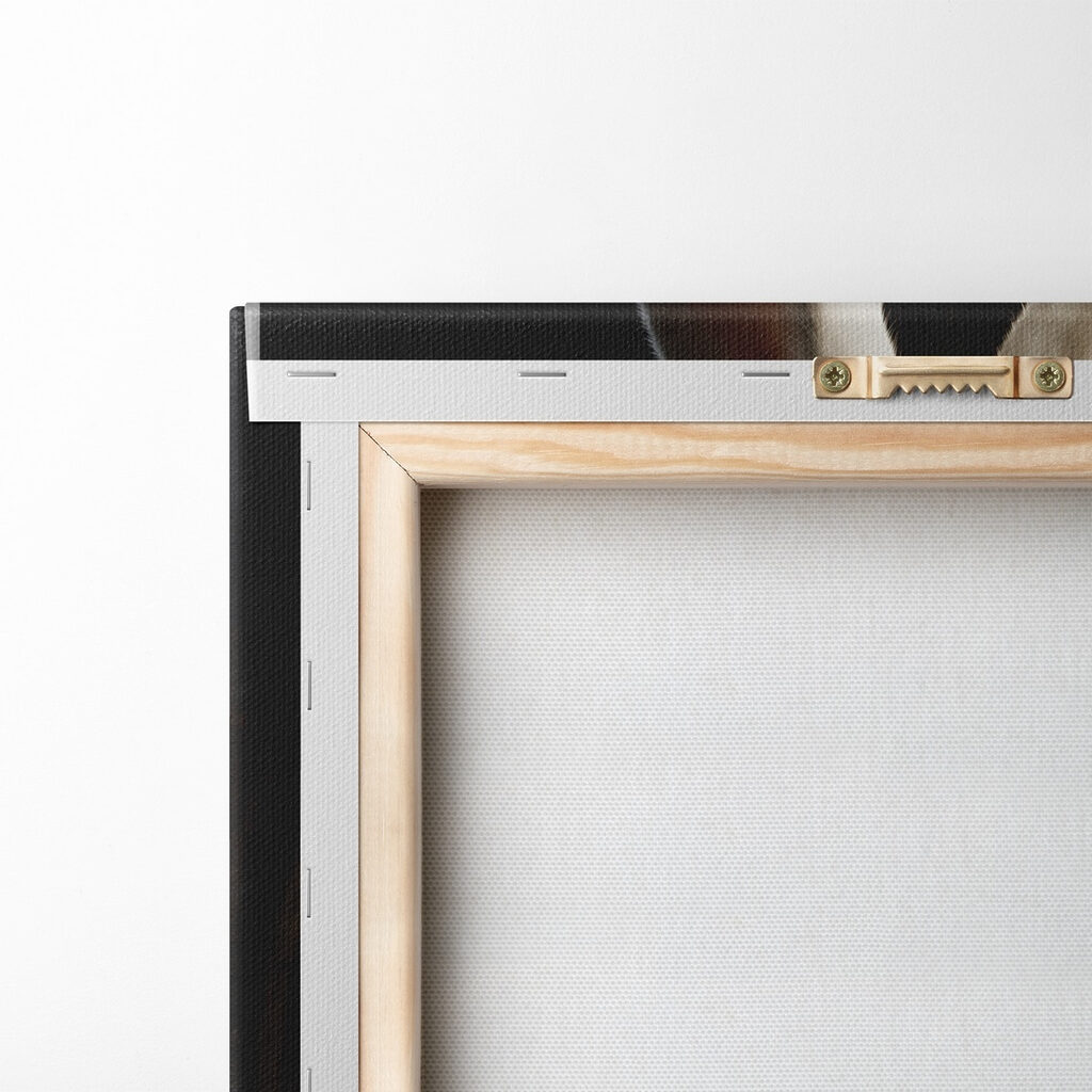 Rabbit in a garment Rabbit in a garment