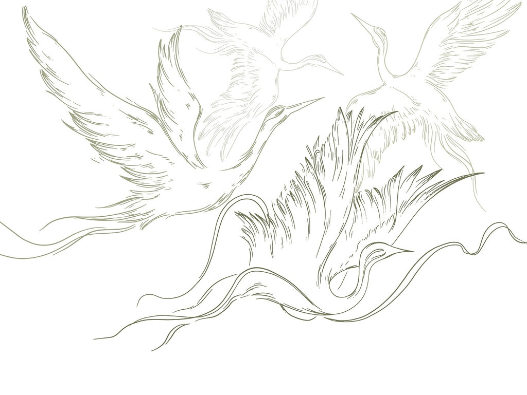 Drawing of birds flying Drawing of birds flying