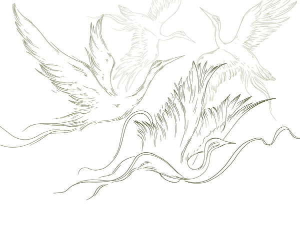 Drawing of birds flying Drawing of birds flying