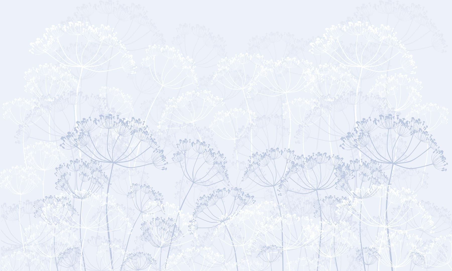 Delicate blooms in soft hues
