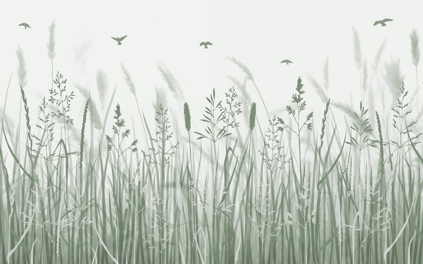 Field of grass with birds flying Field of grass with birds flying