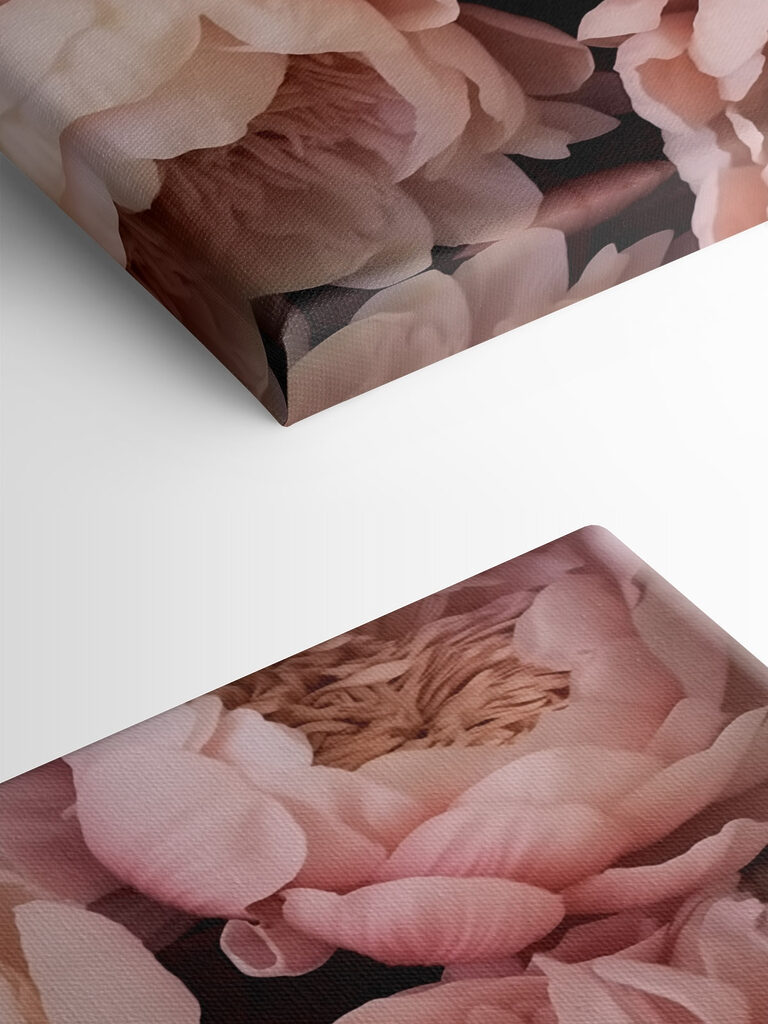 Group of pink flowers