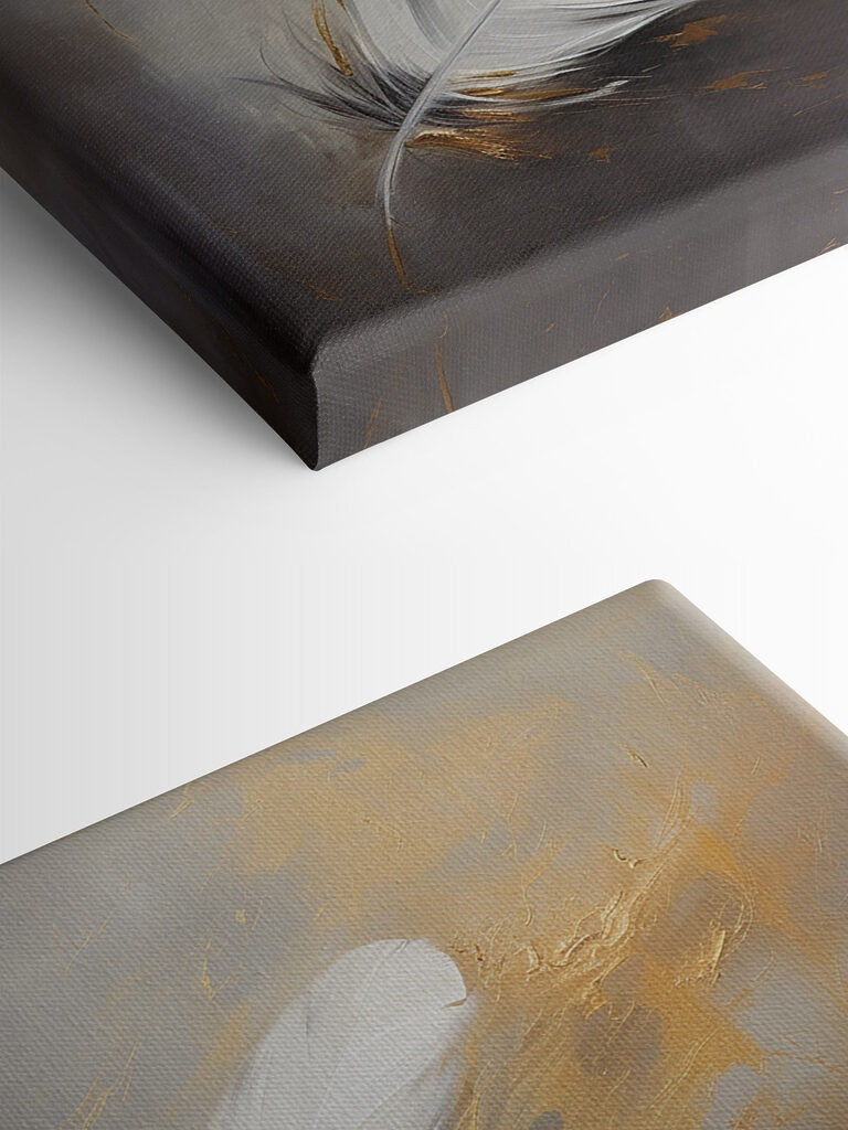 White feather on a grey background