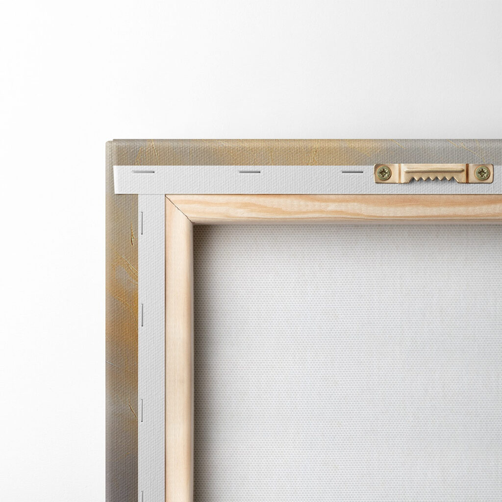 White feather on a grey background