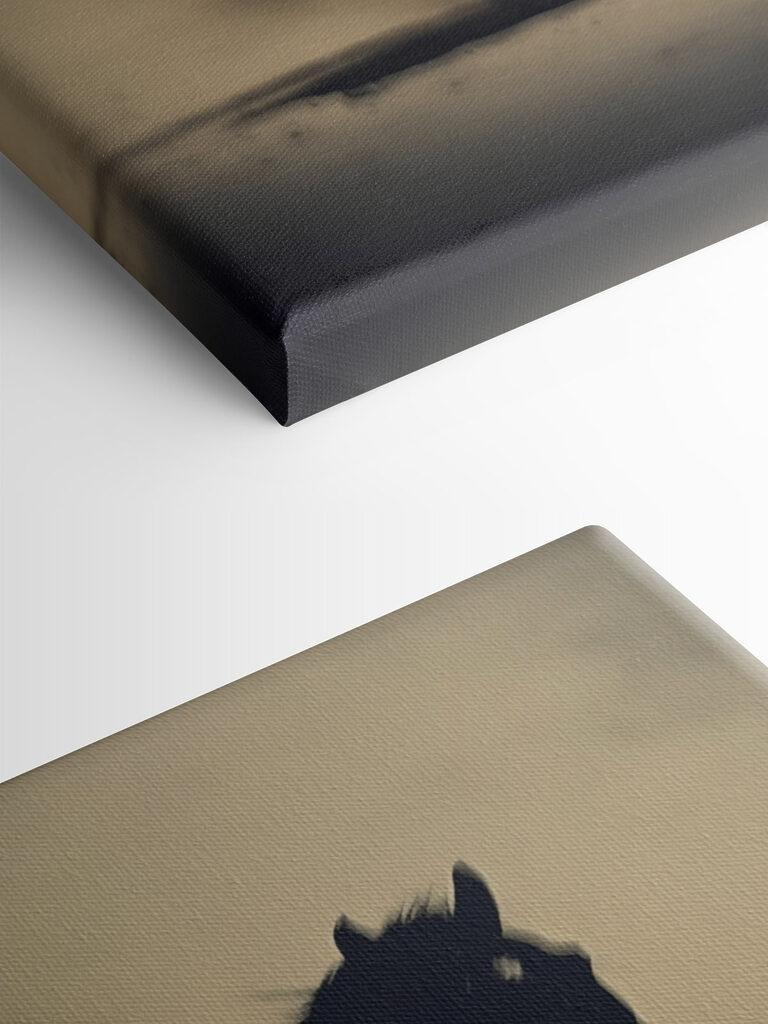 Horse running in the snow