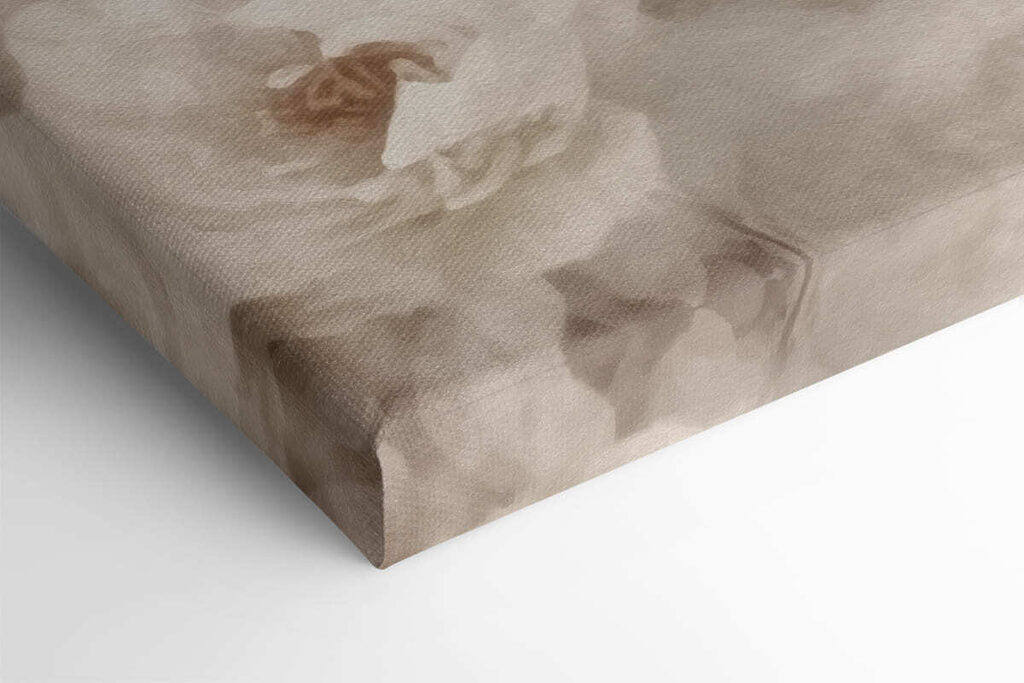 Delicate blooms in soft tones Delicate blooms in soft tones