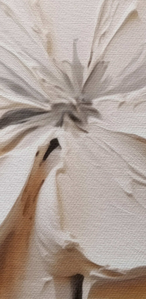 White flower carved into a white surface White flower carved into a white surface