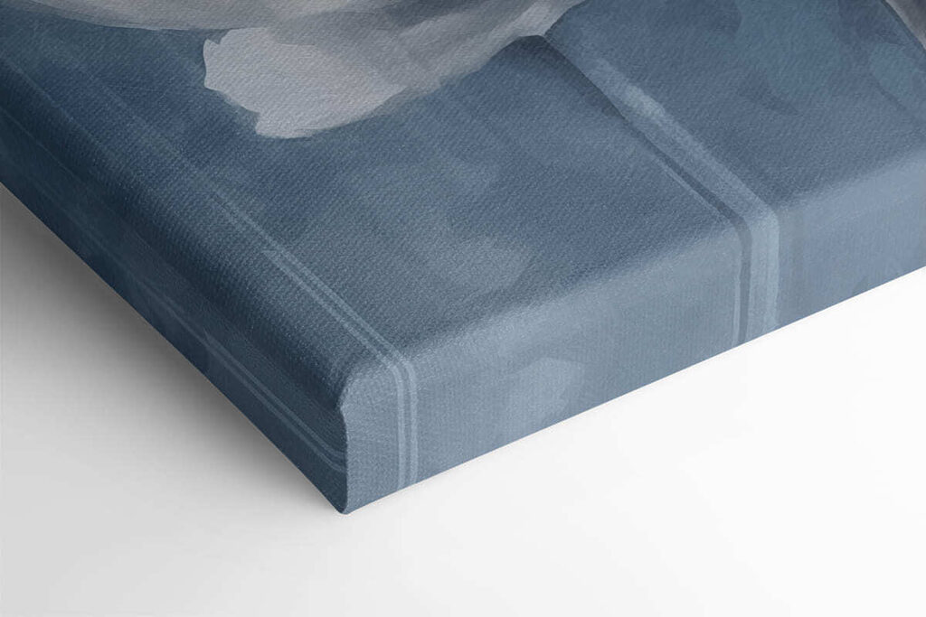 White flower on a blue background