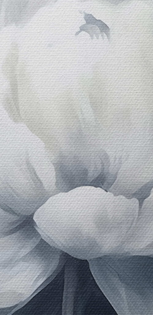 White flower on a blue background