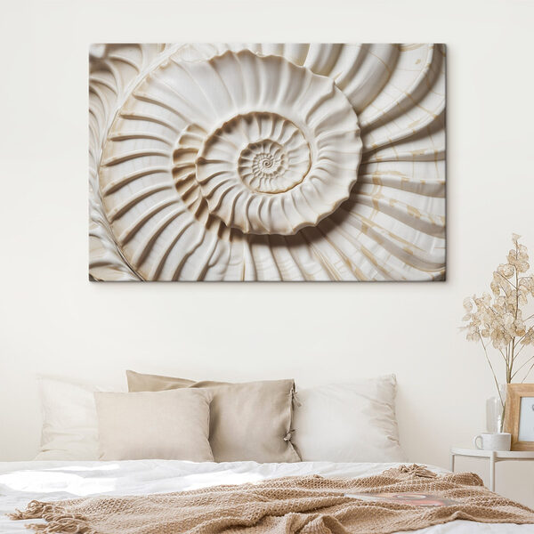 Elegáns spirális kagylóhéjminta, amely gyönyörűen megjelenik Elegáns spirális kagylóhéjminta, amely gyönyörűen megjelenik
