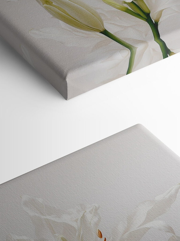 Group of white flowers Group of white flowers