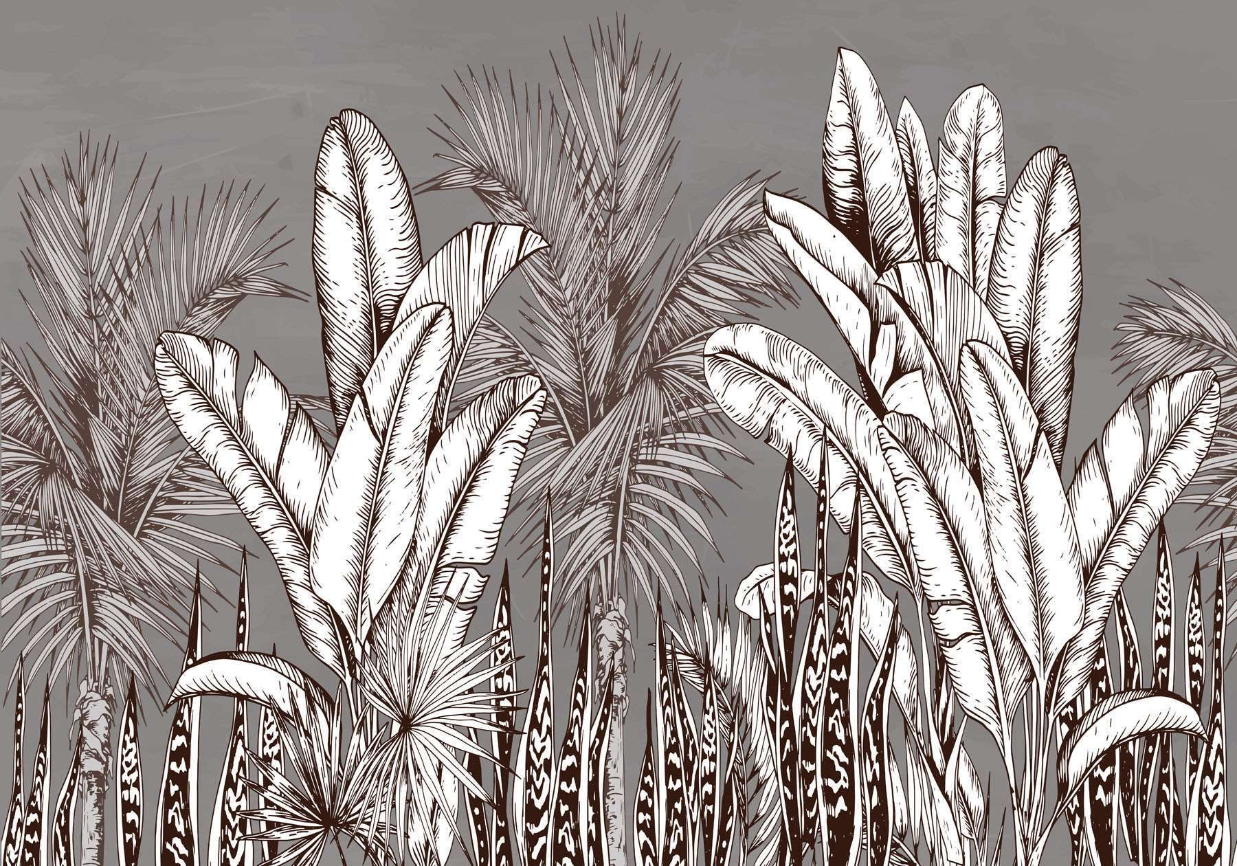 Group of plants with different leaves Group of plants with different leaves