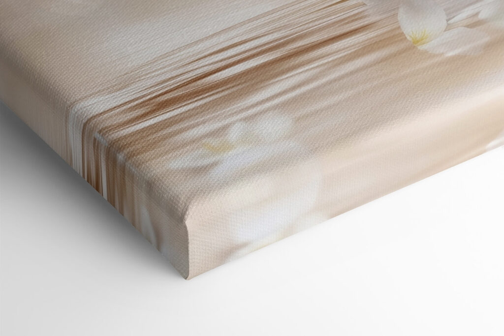 Group of white roses and cinnamon sticks in water