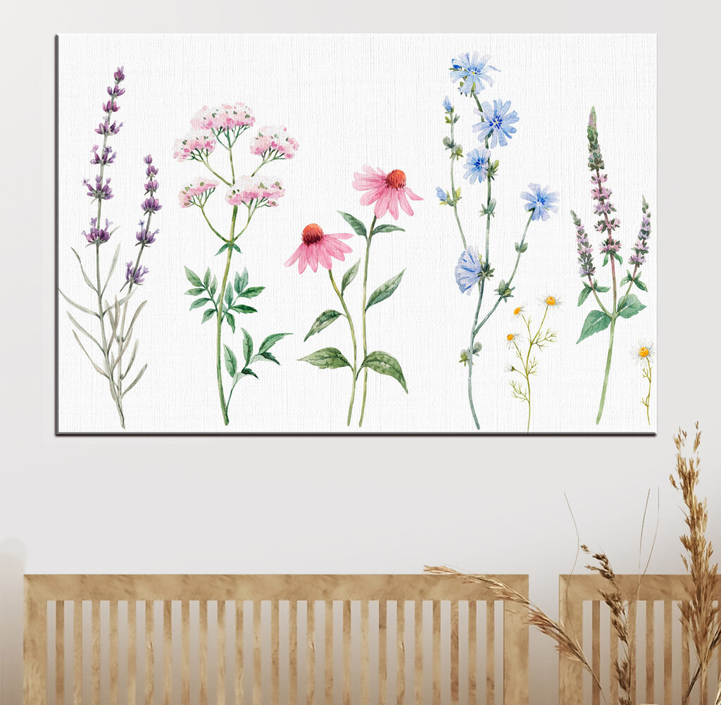 Group of flowers on a white background