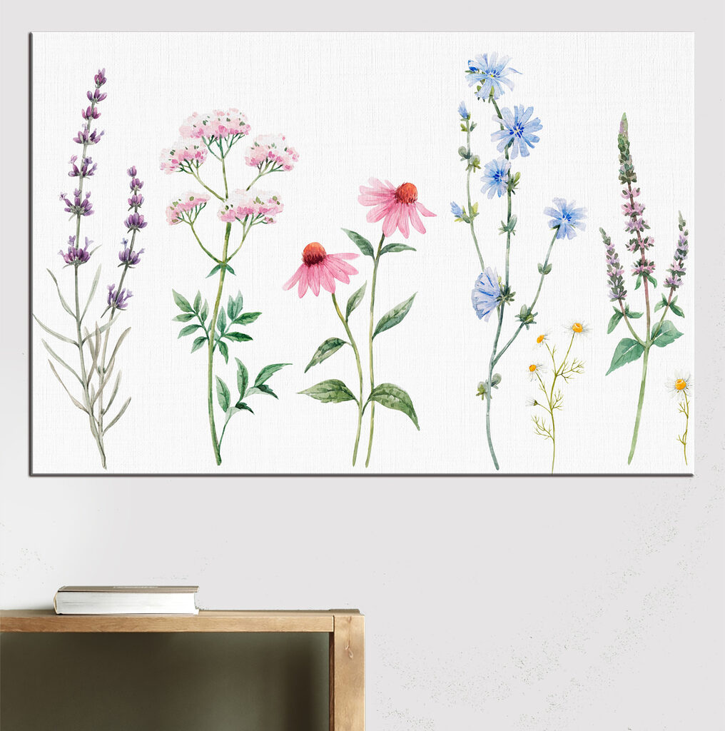 Group of flowers on a white background