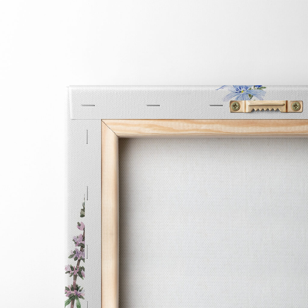 Group of flowers on a white background