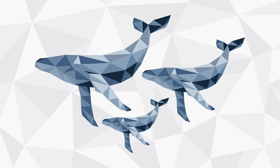 Bálnák csoportja low poly stílusban
