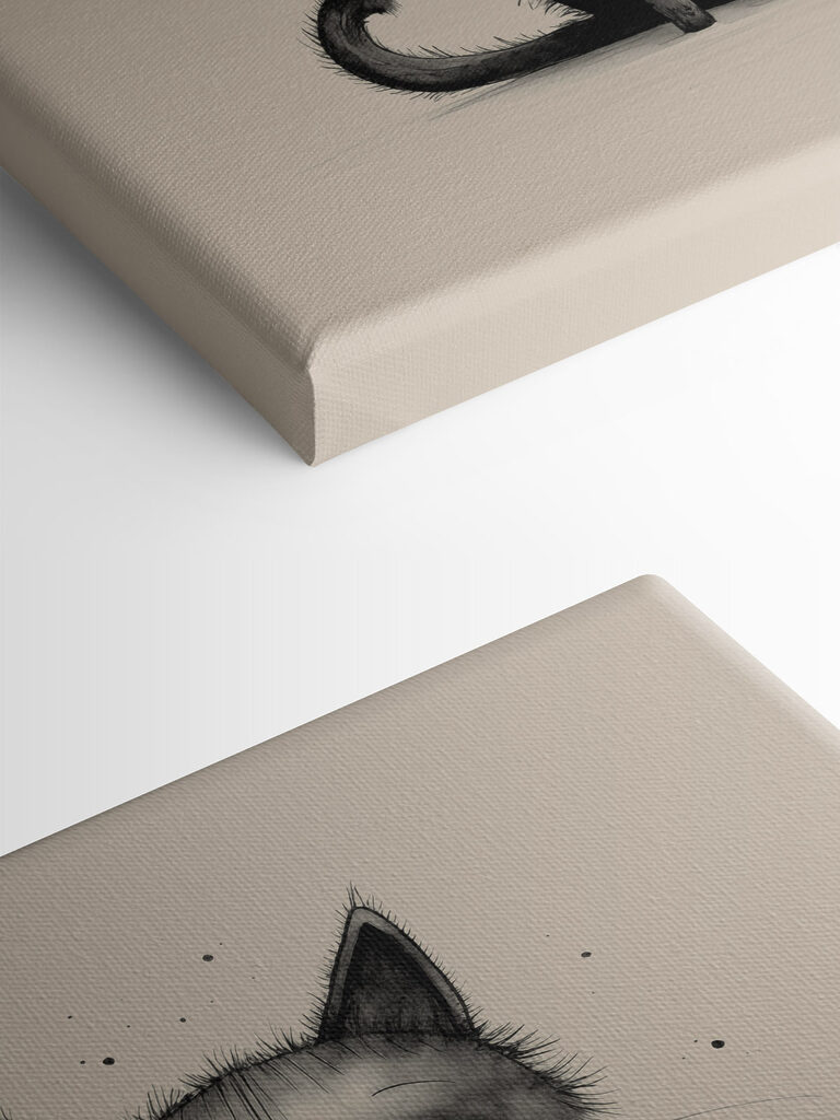 Black cat with big eyes Black cat with big eyes