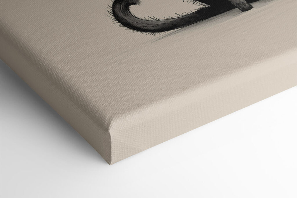 Black cat with big eyes Black cat with big eyes