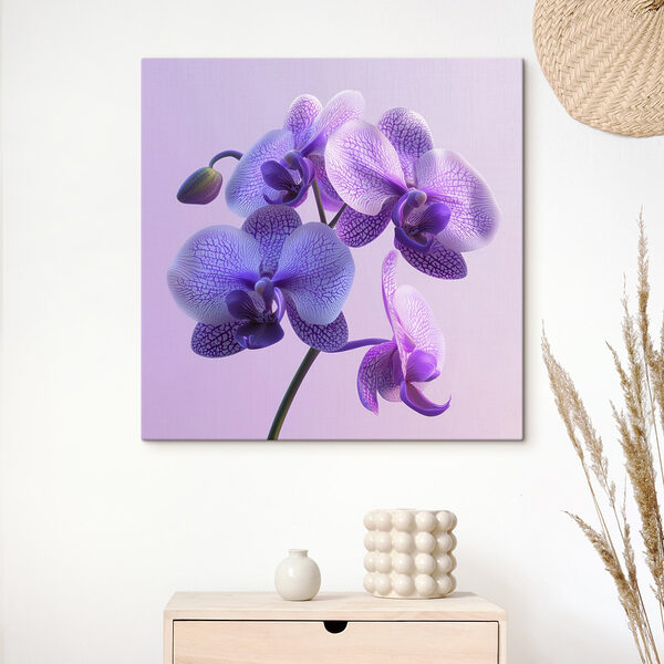 Lila és fehér orchidea virág Lila és fehér orchidea virág