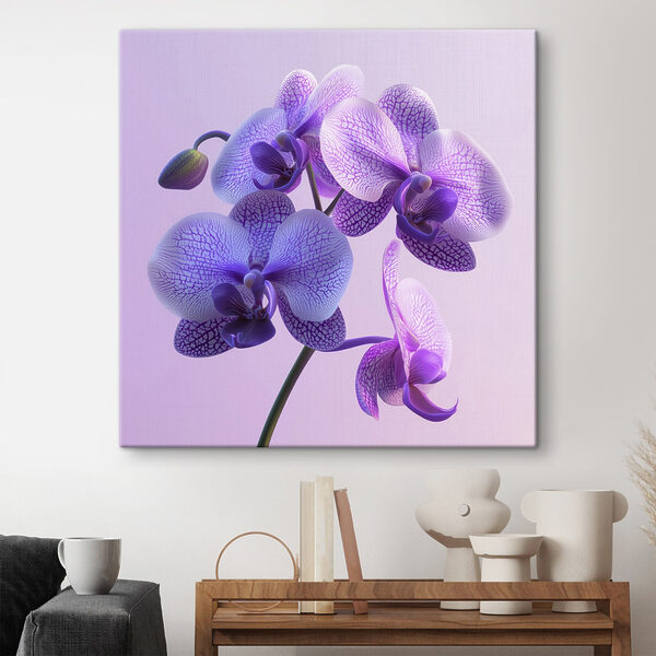 Lila és fehér orchidea virág Lila és fehér orchidea virág