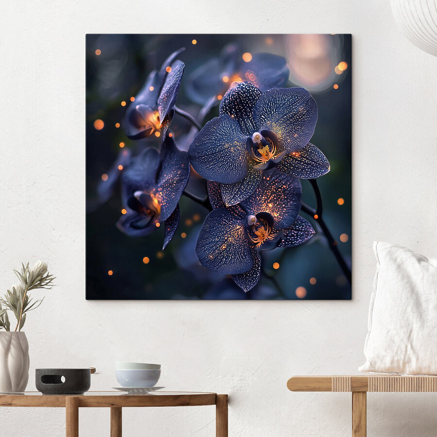 Elegáns orchideák lágy környezetben